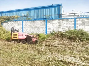 Dịch vụ cắt cỏ tại Đà Nẵng