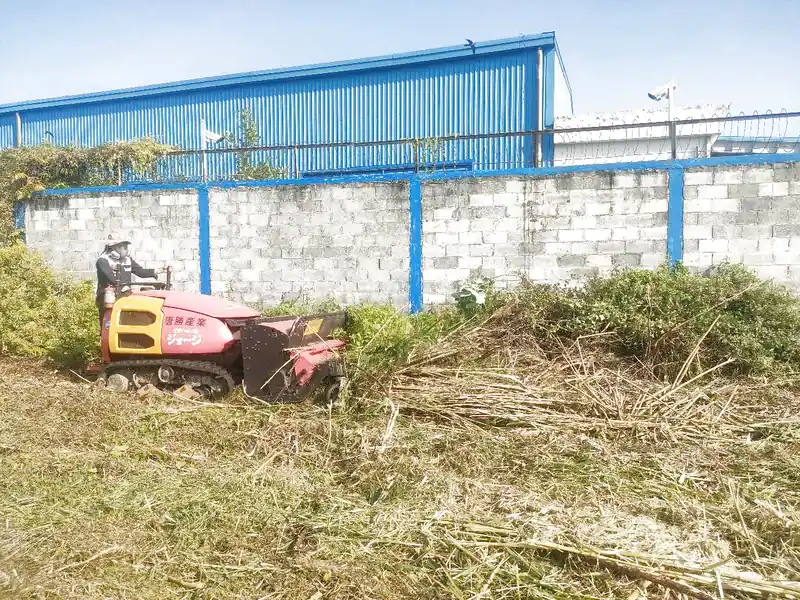 Dịch vụ cắt cỏ tại Đà Nẵng