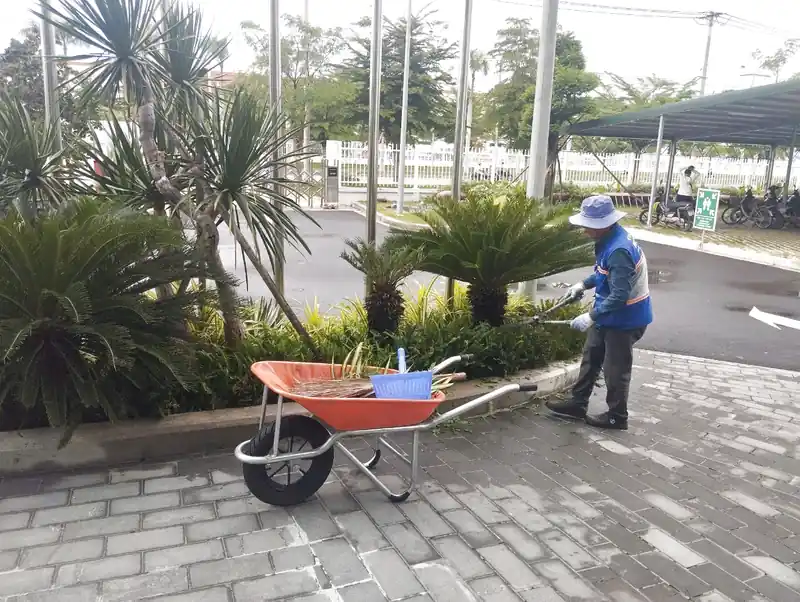 Dịch vụ làm vườn cho nhà dân, công trình, nhà máy chuyên nghiệp tại Đà Nẵng