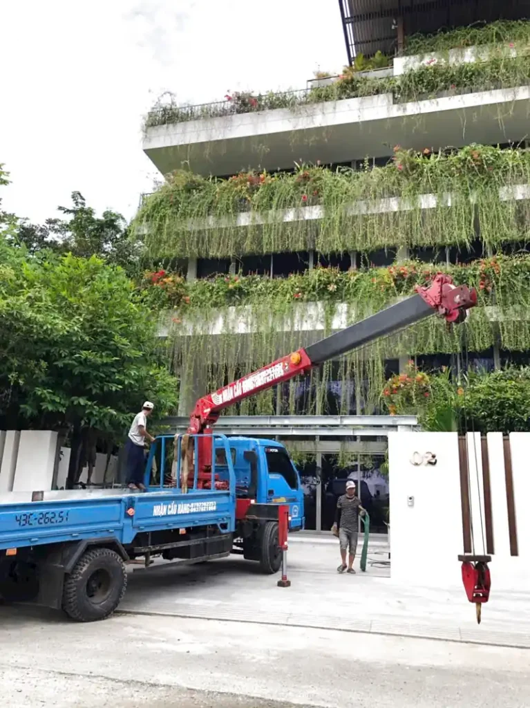 Dịch vụ đào, bứng, di dời cây xanh đi nơi khác tại Đà Nẵng