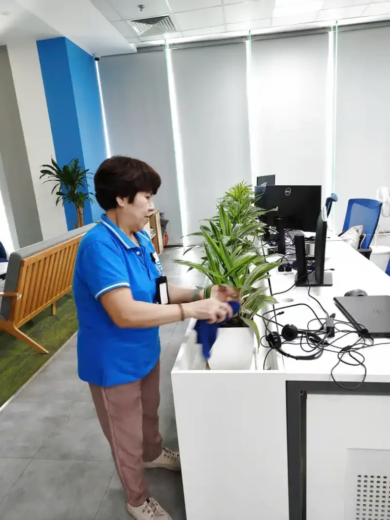 Dịch vụ chăm sóc cây xanh - cây cảnh văn phòng