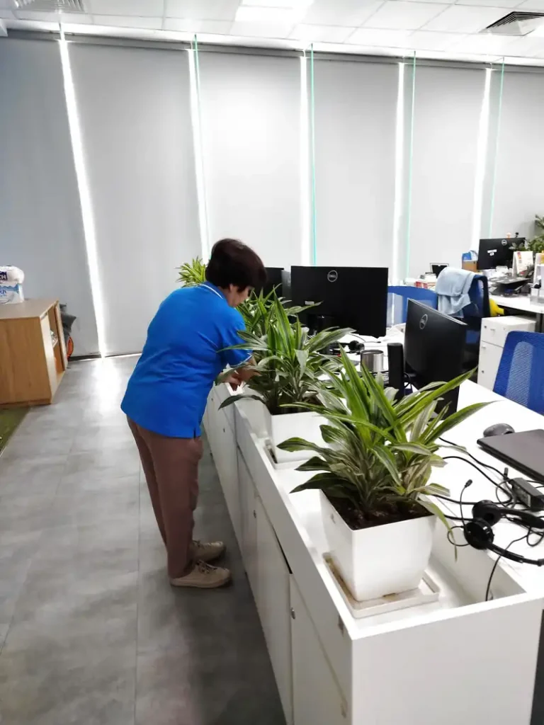 Dịch vụ chăm sóc cây văn phòng Đà Nẵng