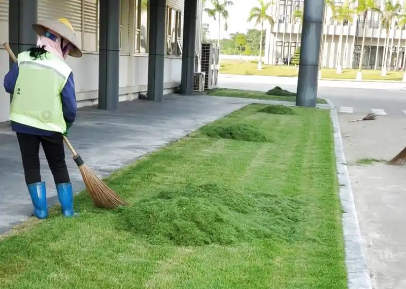 Dịch vụ chăm sóc bảo dưỡng cảnh quan