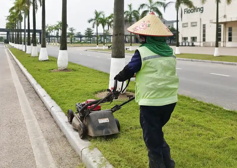 Chăm sóc cảnh quan và bảo dưỡng sân vườn