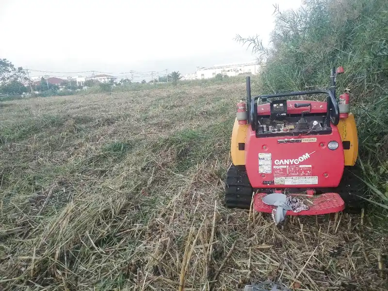 Máy cắt cỏ, phát quang, dọn dẹp rừng lau lách mọc hoang dại