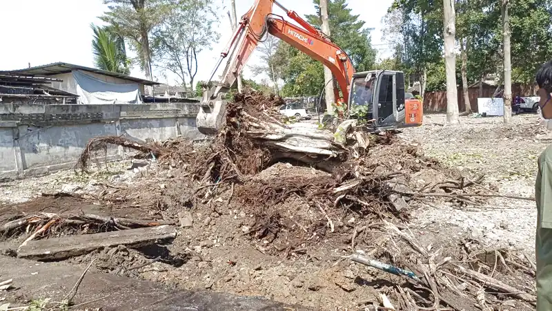 Đào gốc cây bằng máy múc tại Đà Nẵng
