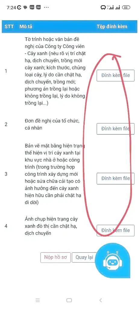 Dịch vụ xin giấy phép chặt - cắt tỉa cây xanh