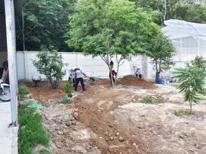 Trồng cây xanh