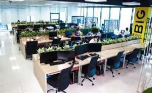 Dịch vụ cho thuê cây cảnh văn phòng tại Đà Nẵng