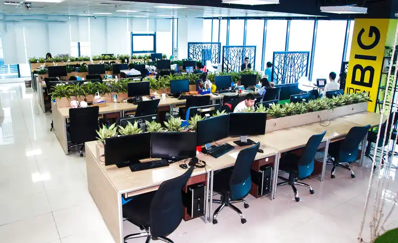 Dịch vụ cho thuê cây cảnh văn phòng tại Đà Nẵng