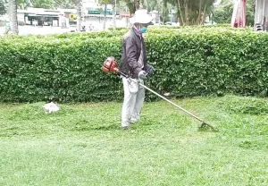 Dịch vụ cắt cỏ sân vườn