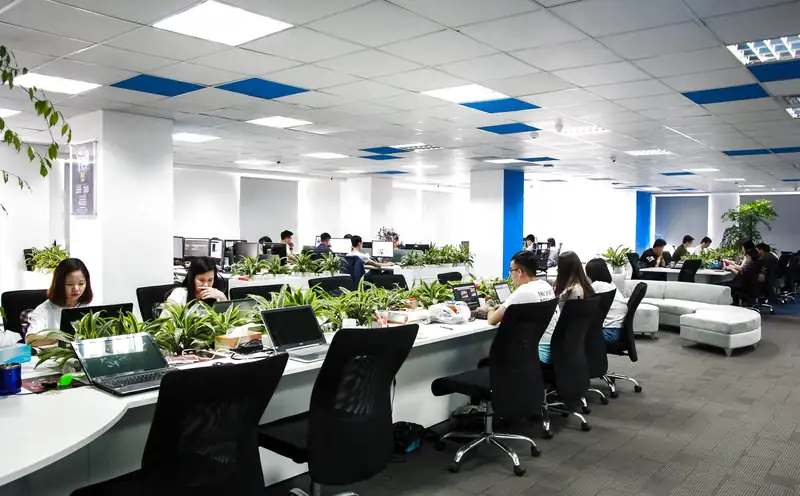 Dịch vụ cho thuê cây cảnh văn phòng tại Đà Nẵng