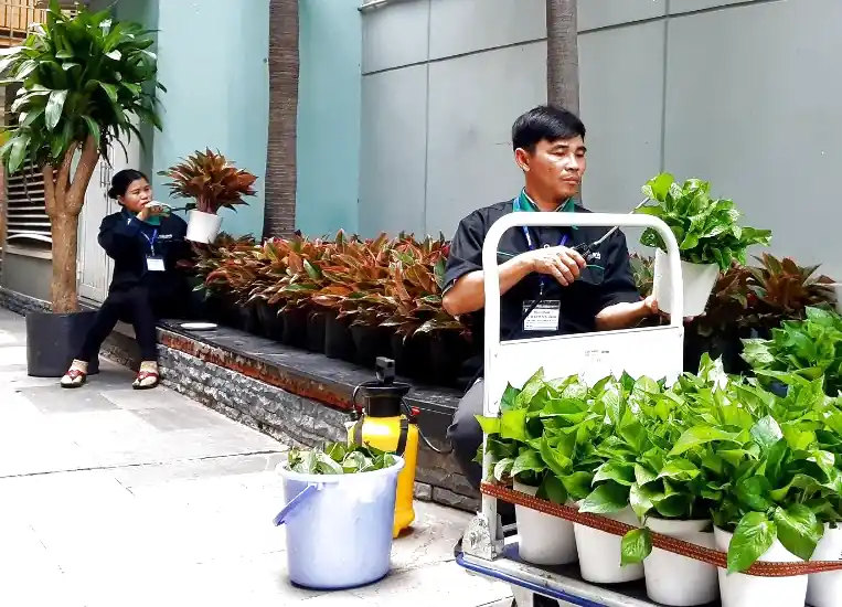 Dịch vụ uht ohc