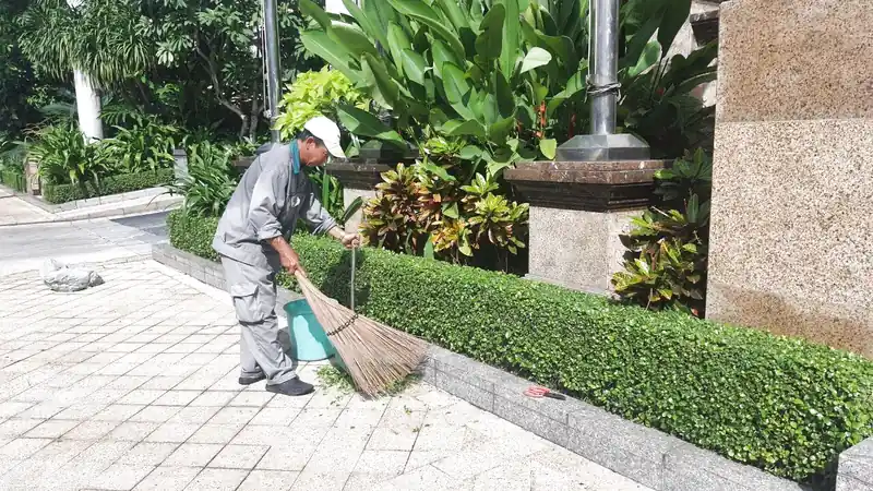 Dịch vụ chăm sóc cảnh quan Đà Nẵng