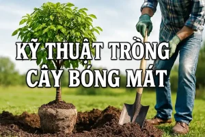 Kỹ thuật trồng cây