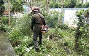 dịch vụ cắt cỏ dọn vườn Hội An Quảng Nam